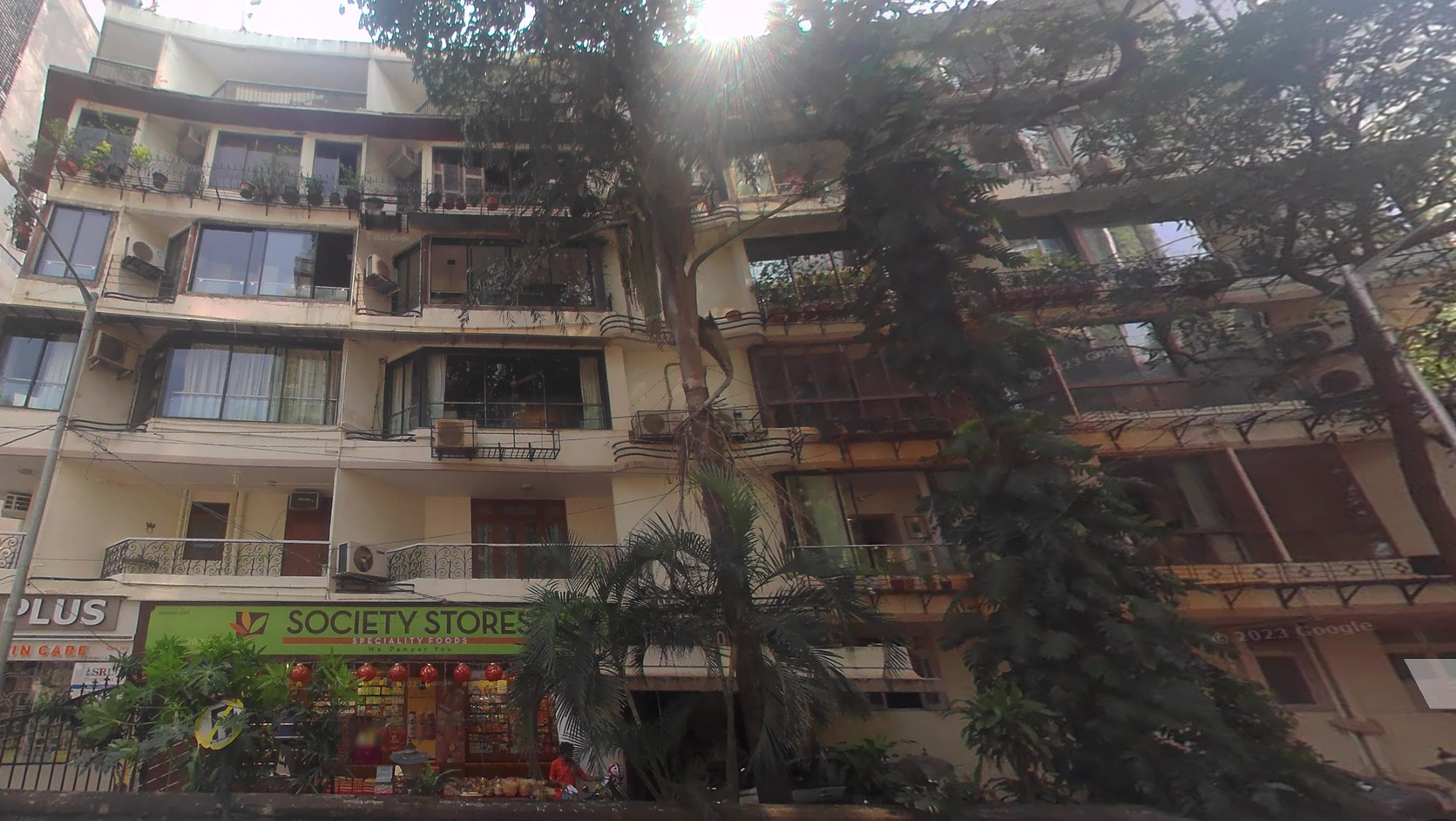 Palmera House