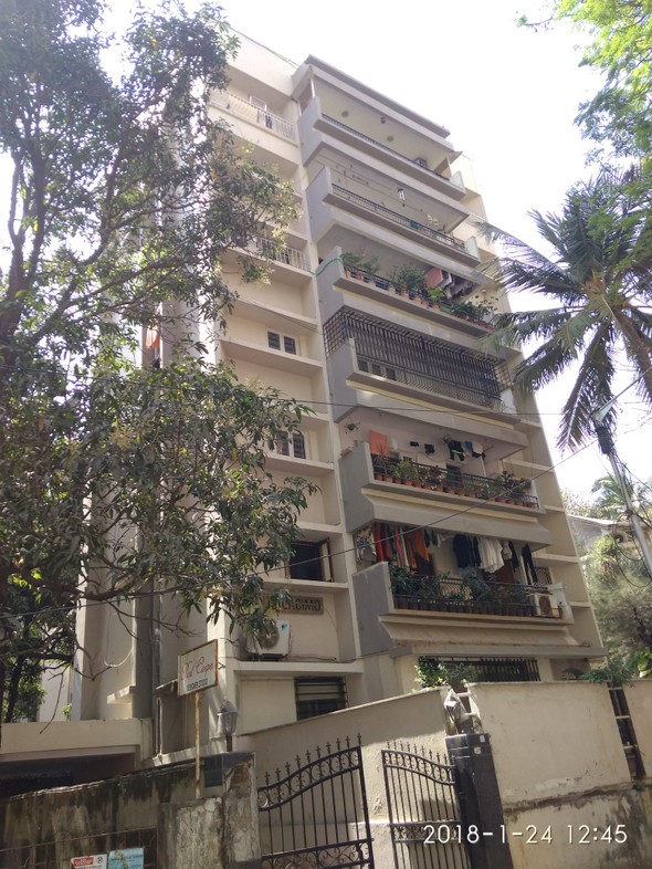 Palacimo