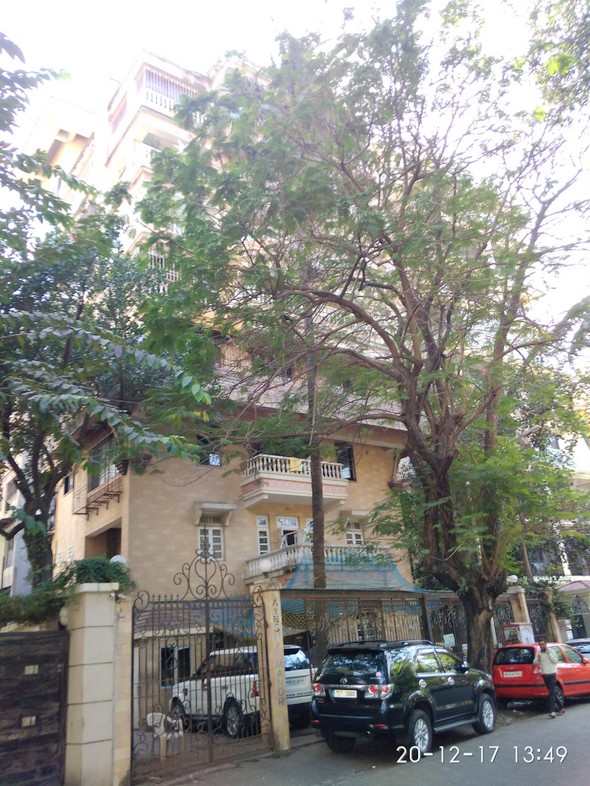 Ayesha Manor