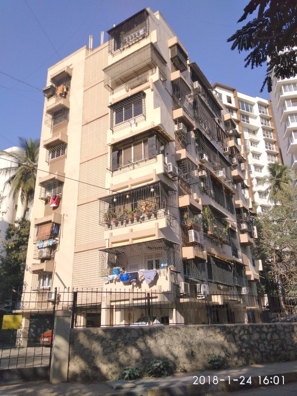 Palm Crest
