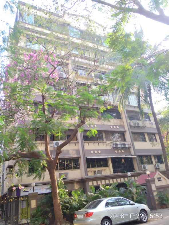 Bamboo House