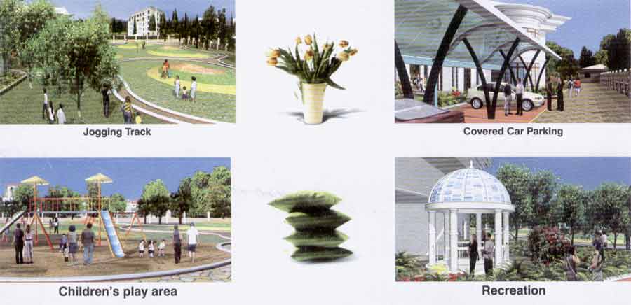 Sai Pride